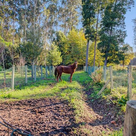 Casa Do Moinho Rural Campo E Praia , 9 Pessoas, Animais Benvindos Espinho  Eksteriør billede