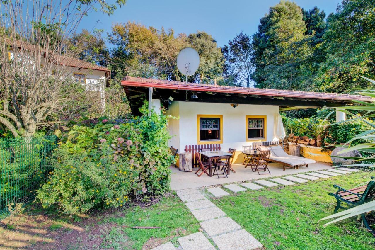 Casa Do Moinho Rural Campo E Praia , 9 Pessoas, Animais Benvindos Espinho  Eksteriør billede