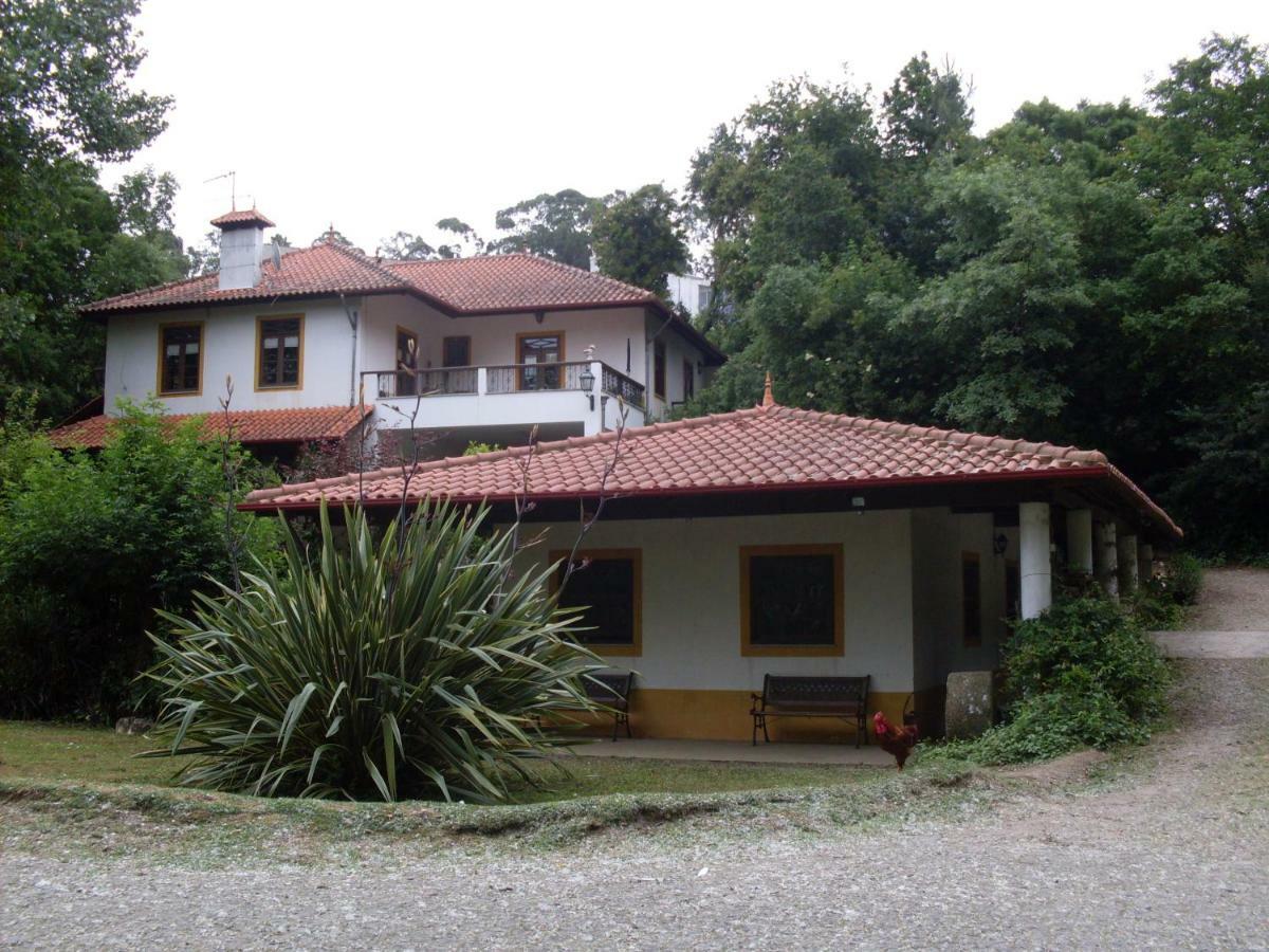 Casa Do Moinho Rural Campo E Praia , 9 Pessoas, Animais Benvindos Espinho  Eksteriør billede