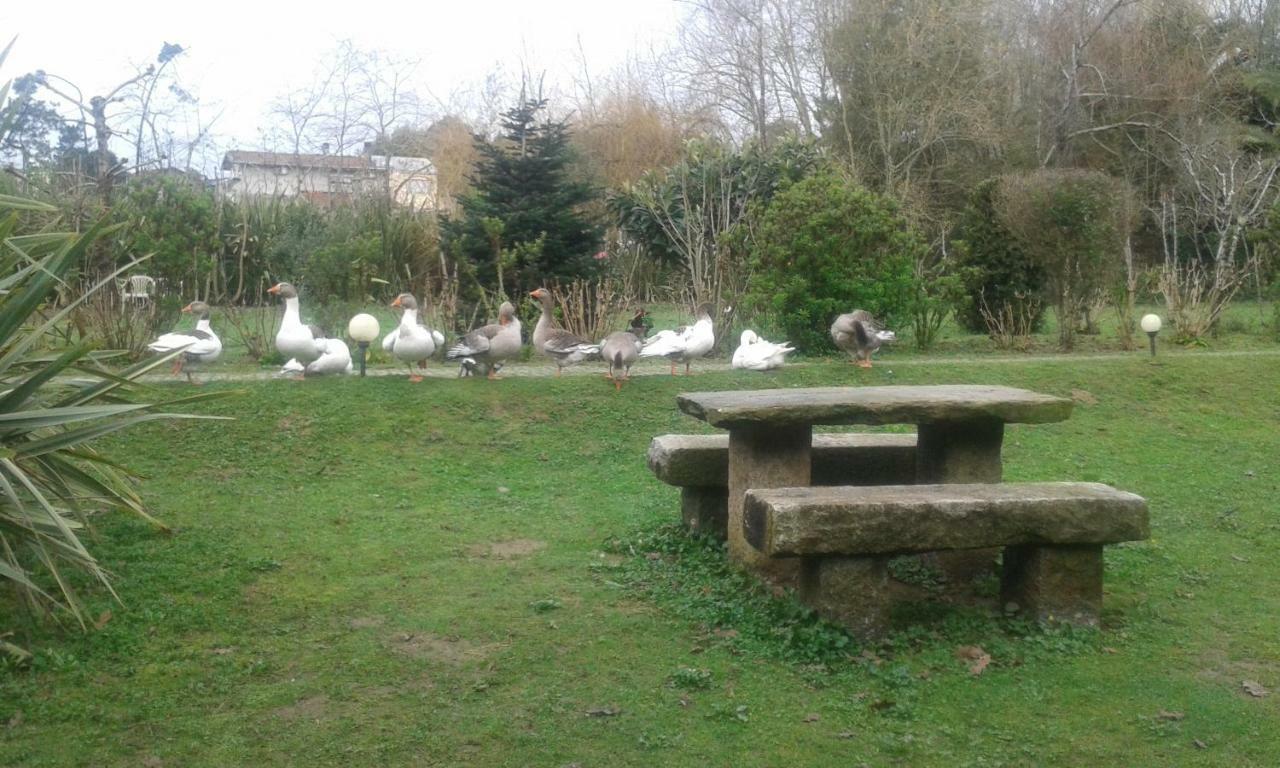 Casa Do Moinho Rural Campo E Praia , 9 Pessoas, Animais Benvindos Espinho  Eksteriør billede